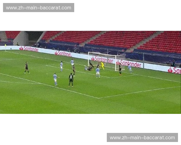 篮球助教团队角色：成功背后的无名英雄